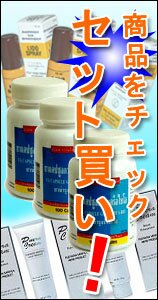 �Ŀ�͢����ԡ��������ɥ���ǥ��ӥ��奢��ȥ졼�ɥ����ӥ���ˡ��.NET